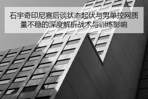 shi-yu-qi-yin-ni-sai-hou-tan-zhuang-tai-qi-fu-yu-nan-dan-kong-wang-zhi-liang-bu-wen-de-shen-du-jie-xi-zhan-shu-yu-xun-2-775.jpg