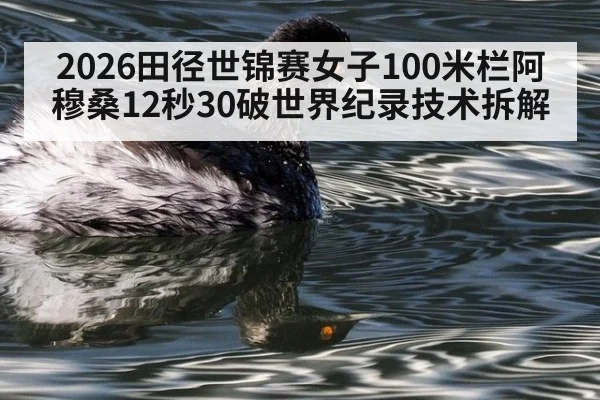 2026田径世锦赛女子100米栏阿穆桑12秒30破世界纪录技术拆解
